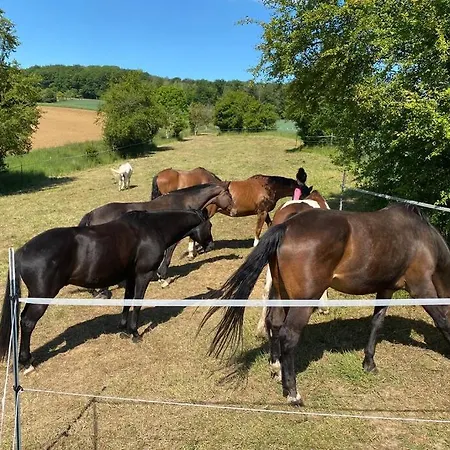 Daire Gemuetliche Auf Dem Ponyhof - Himmelbett, Kamin & Garten Ortenberg (Hessen)