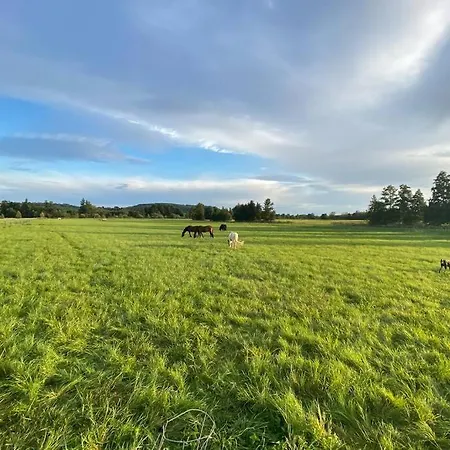 Gemuetliche Auf Dem Ponyhof - Himmelbett, Kamin & Garten Apartment *