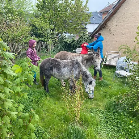 Gemuetliche Auf Dem Ponyhof - Himmelbett, Kamin & Garten Apartment *
