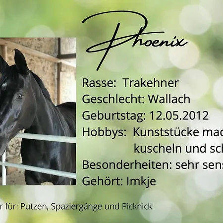 Apartment Gemuetliche Auf Dem Ponyhof - Himmelbett, Kamin & Garten *