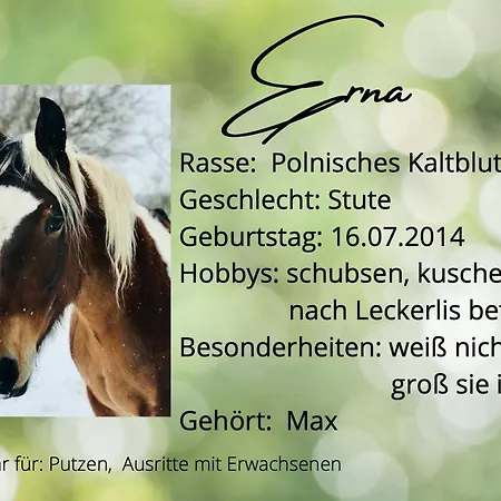 Gemuetliche Auf Dem Ponyhof - Himmelbett, Kamin & Garten Apartment *