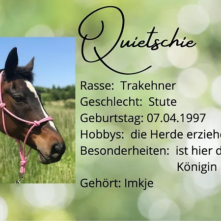 Apartment Gemuetliche Auf Dem Ponyhof - Himmelbett, Kamin & Garten Ortenberg (Hessen)