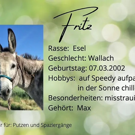Gemuetliche Auf Dem Ponyhof - Himmelbett, Kamin & Garten Ortenberg (Hessen)