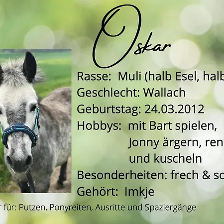 Gemuetliche Auf Dem Ponyhof - Himmelbett, Kamin & Garten Apartment *