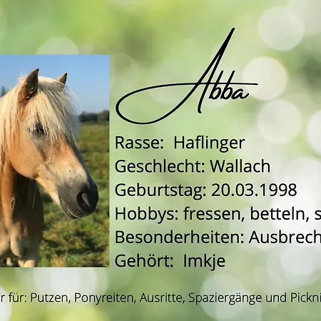 Gemuetliche Auf Dem Ponyhof - Himmelbett, Kamin & Garten Apartment Ortenberg (Hessen)